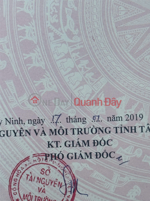 PRIME LAND FOR SALE AT A GOOD PRICE in Tan Hoa, Suoi Ngo Commune, Tan Chau District, Tay Ninh (old address) _0