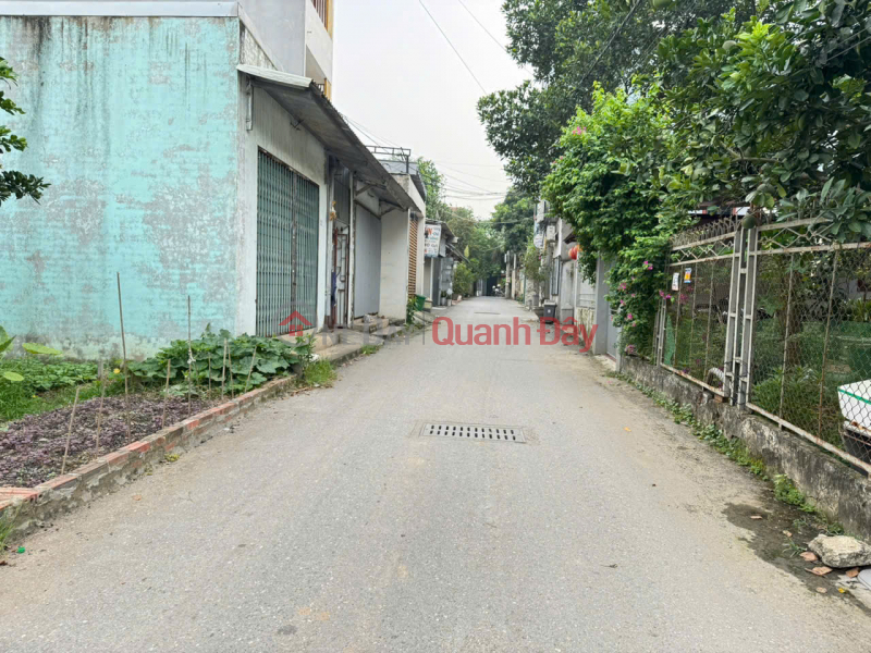 Bán đất thổ cư 86m², hướng Đông Nam, trung tâm Chi Đông, Mê Linh, Hà Nội, Việt Nam | Bán, đ 4,6 tỷ