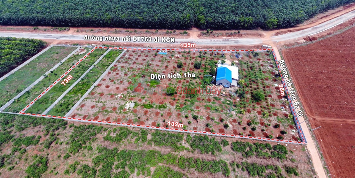 Selling 1ha of garden house with 2 frontages of 32m asphalt road near Phu Tuc Industrial Park Sales Listings