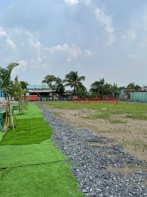 OWNER NEEDS TO SELL LAND PLOT ON QL50, Can Duoc Town, Can Duoc District, Long An _0