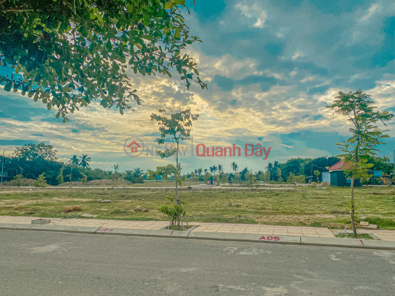 Land for sale in Tan Hoi project behind Tan Hoi church in the city center, only 500m from National Highway 1A, Vietnam | Sales, đ 1.1 Billion