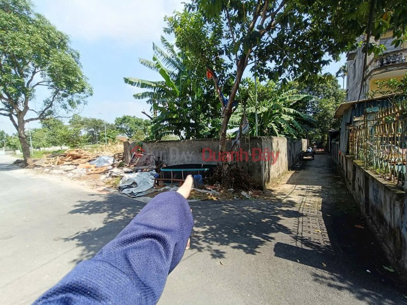 đ 19 Billion | Land for sale, very nice location, right next to Vinhomes Ocean Park 2, divided into lots for car parking