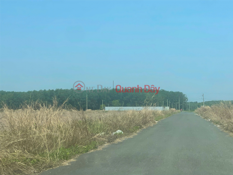 ĐẤT ĐẸP - GIÁ TỐT - Bán Đất tại Xã Minh Lập Huyện Chơn Thành Bình Phước | Việt Nam Bán đ 750 triệu