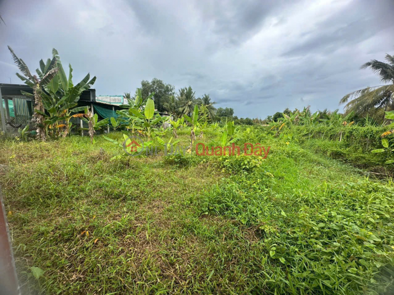 ĐẤT ĐẸP - GIÁ TỐT - Bán Đất Mặt Tiền Đường Tỉnh 901- Quới An - Vũng Liêm, Vĩnh Long, Việt Nam Bán, đ 3 tỷ