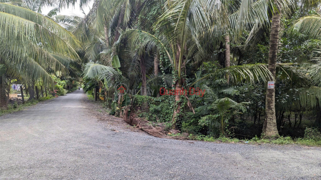 Property Search Vietnam | OneDay | Residential | Sales Listings OWNER Needs to Quickly Sell Garden Land in Hoa Dinh Commune, Cho Gao, Tien Giang