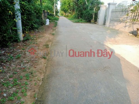 PRIME LAND – GOOD PRICE – OWNER NEEDS TO SELL A PLOT OF LAND IN XUAN HOI VILLAGE, XUAN HUNG COMMUNE, THO XUAN DISTRICT, THANH HOA PROVINCE _0