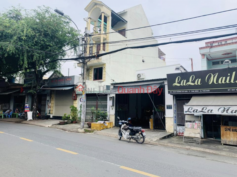Property Search Vietnam | OneDay | Nhà ở Niêm yết bán, NHÀ MẶT TIỀN ĐƯỜNG GÒ DƯA. ĐỐI DIỆN CHỢ TAM BÌNH 109M. NỠ HẬU GIÁ NHỈNH 10 TỶ