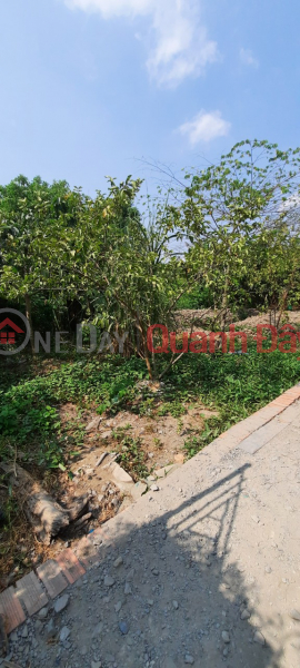 Property Search Vietnam | OneDay | Residential, Sales Listings House for sale at House 180\\/37 Nguyen Huu Canh Street, Ward 22, Binh Thanh