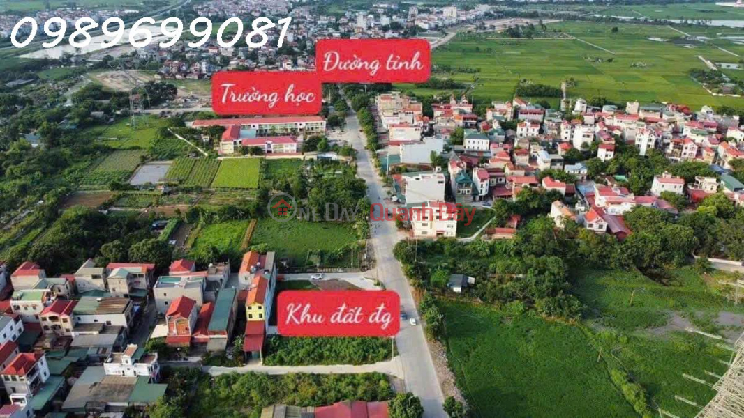 Selling 70m2 of land at auction in Dinh Trang, Duc Tu, Dong Anh, price 5.X billion Sales Listings