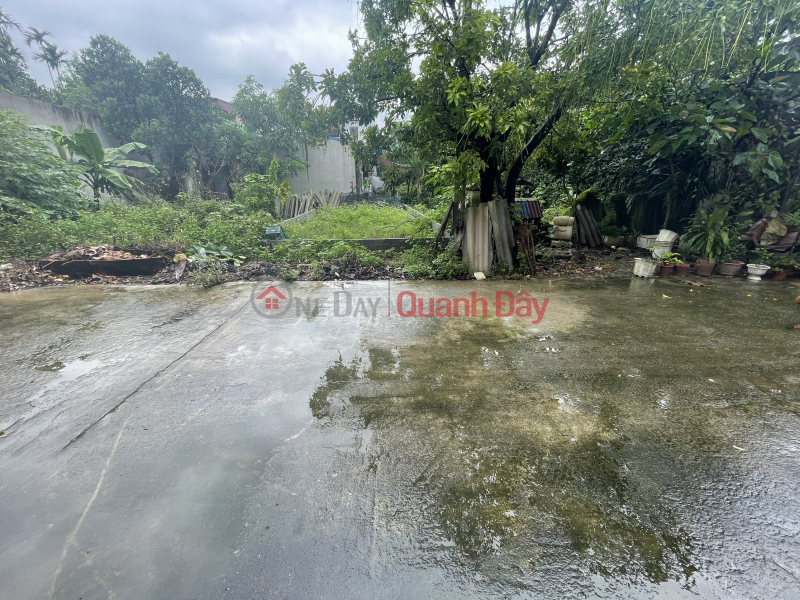 Property Search Vietnam | OneDay | Residential Sales Listings | The owner offers to sell a beautiful square plot of land with 102 square meters in Tan Binh area, Xuan Mai town, Chuong My, Hanoi.