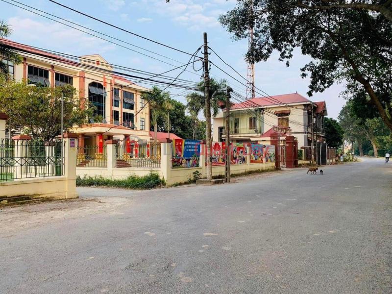 Land for sale at Luong Tai Commune People's Committee, Main axis DH19, Van Lam, Hung Yen, Vietnam, Sales | ₫ 20 Million