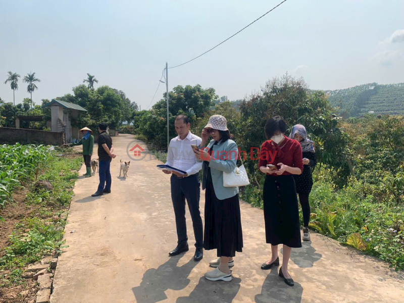 SIÊU PHẨM ĐẤT NỀN - Hàng đẹp đầu tư - Đất TDP Lay - Tiềm năng tăng giá rõ ràng - Vị trí chiến lược | Việt Nam | Bán đ 700 triệu