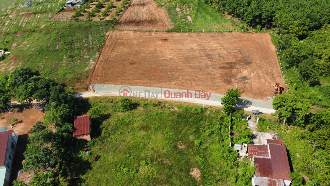 đ 208 Million Phat Mai Bank residential land plot 256m2 in Hon Quan, next to the industrial park, price 208TR.