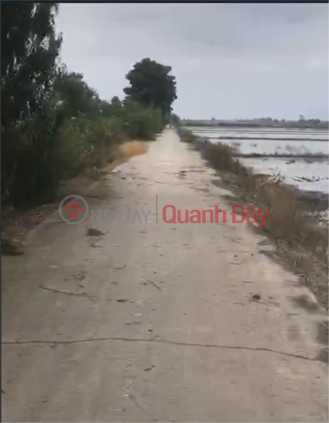 The Owner Sells Land Quickly – Very Cheap Price In Thap Muoi District, Vietnam Sales | đ 1.8 Billion