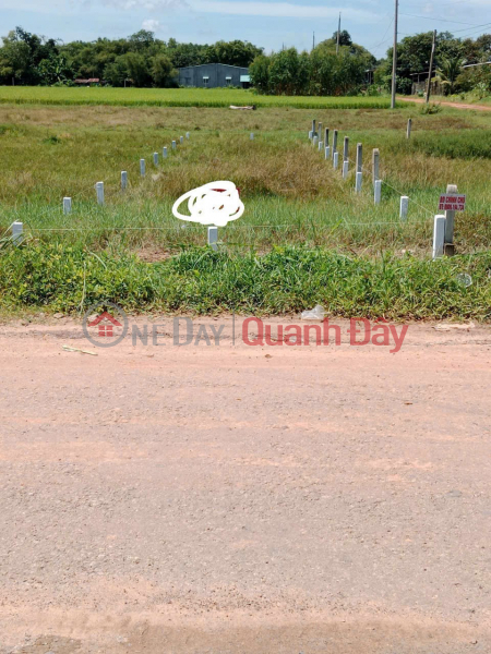 BEAUTIFUL LAND - GOOD PRICE - NEED TO SELL A LOT OF LAND IN A GOOD LOCATION IN Long Khanh Commune, Ben Cau District, Tay Ninh. Sales Listings