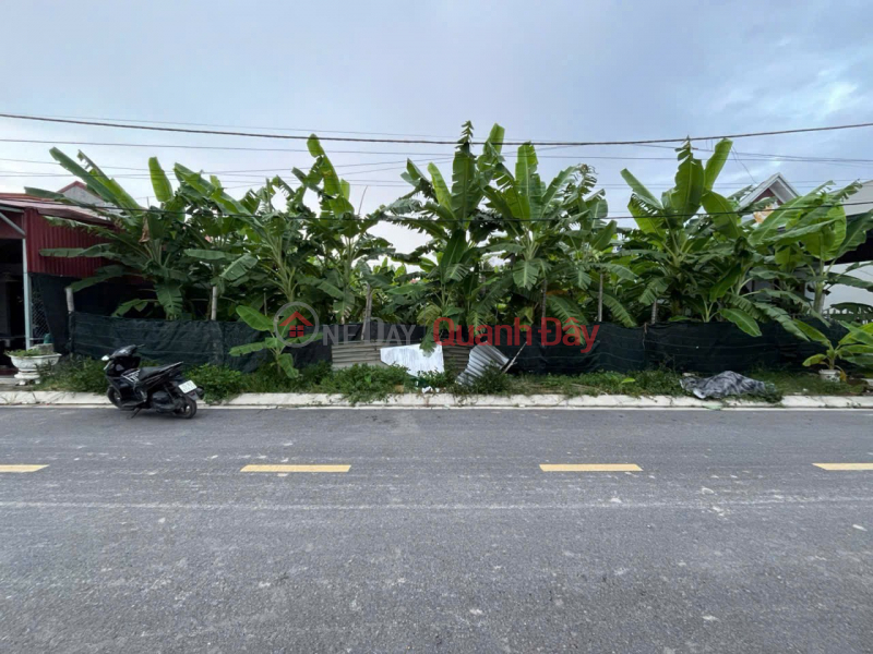 Bán đất mặt đường nhựa Đoàn Xá sát KCN và Cảng Logistics - ZALO 0567 222 555 Niêm yết bán