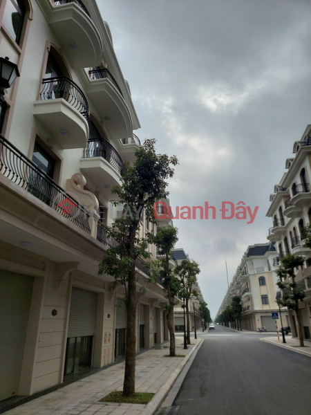 Property Search Vietnam | OneDay | Residential | Sales Listings | BUYING A HOUSE IN VINHOMES OCEAN PARK 2 HAS NEVER BEEN SO EASY WITH A 19.3% DISCOUNT ON THE SELLING PRICE