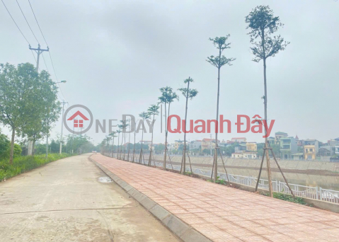 Land for sale in Yen My commune, Thanh Tri, Hanoi. Yen My Hot Ecotourism Village _0