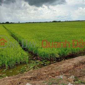 BEAUTIFUL LAND - GOOD PRICE - 49 Condominiums of Field Land for Sale in Kien Luong District - Kien Giang _0