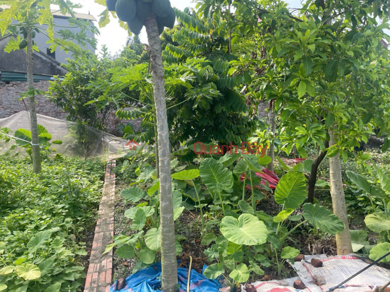 CHÍNH CHỦ CẦN BÁN 42 M2 GIAO TẤT A - THUẬN AN, GIÁ NHỈNH 2 TỶ, LIÊN HỆ 0985865658 Niêm yết bán