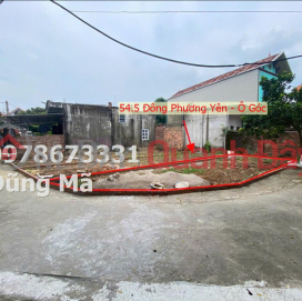 RARE INVESTMENT PRICE ONLY 1.5 BILLION VND LAND NEAR PHU NGHI-CHUONG MY INDUSTRIAL PARK _0