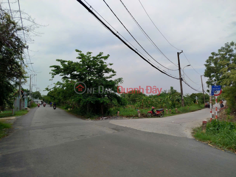 Land for sale, 2 frontages, 1000m2, Dinh Van Uoc, Hung Long, Binh Chanh, 7.5 billion, Vietnam Sales đ 7.5 Billion