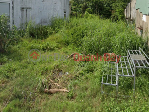 L1630 ️ Land on the front of Road No. 4 Hiep Thanh TN, SHR, Expanding to the back, 7x53m, 2.x billion x small _0