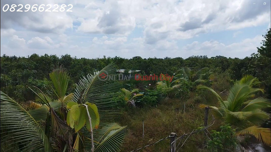 Property Search Vietnam | OneDay | Nhà ở | Niêm yết bán | Bán Đất Vườn Cây Ăn Trái Xã Hòa Long, Đồng Tháp. DT 44000m2, SHR, Giá 22 Tỷ.