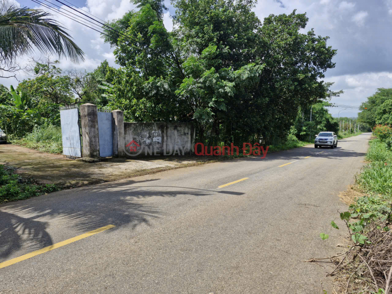 Property Search Vietnam | OneDay | Nhà ở | Niêm yết bán CHÍNH CHỦ BÁN 7481M2 ĐẤT SẴN NHÀ CẤP 4 MẶT TIỀN LÁNG LỚN-XÀ BANG