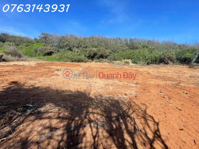 Property Search Vietnam | OneDay | Residential | Sales Listings | Urgent sale of large 2-frontage land lot on Phu Quy Island, area 1,318m2, price 3.9 billion negotiable