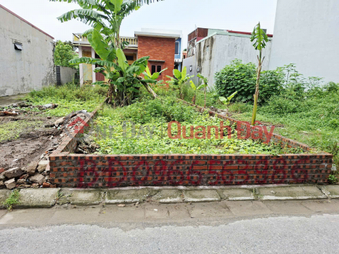 Owner selling residential land in Nam Hai, Dong Hai, Hai Phong - 56m2, car access alley, price 2.4 billion VND. _0