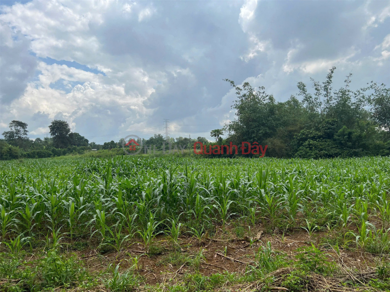 Property Search Vietnam | OneDay | Residential, Sales Listings | LAND LOT IN GOOD LOCATION - GOOD PRICE in Bau Can commune, Long Thanh district, Dong Nai province