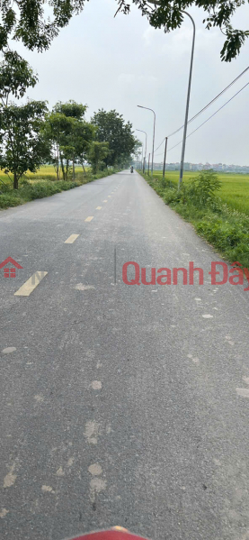 Property Search Vietnam | OneDay | Residential | Sales Listings, Land for sale in Thuong Phuc village, Bac Hong, Dong Anh. Main road between communes, business frontage