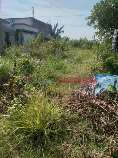 OWNER NEEDS TO SELL FAST Front Lot In Thanh Hai Commune, Thanh Phu District, Ben Tre _0