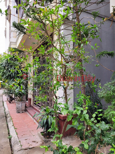 Owner needs to rent out the whole house at 2A, Tran Quang Trieu, Hoa Vuong Urban Area, Loc Hoa Ward, Thanh Hoa City. Vietnam Rental đ 8.5 Million/ month