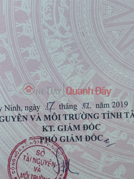 Property Search Vietnam | OneDay | Residential | Sales Listings, PRIME LAND FOR SALE AT A GOOD PRICE in Tan Hoa, Suoi Ngo Commune, Tan Chau District, Tay Ninh (old address)