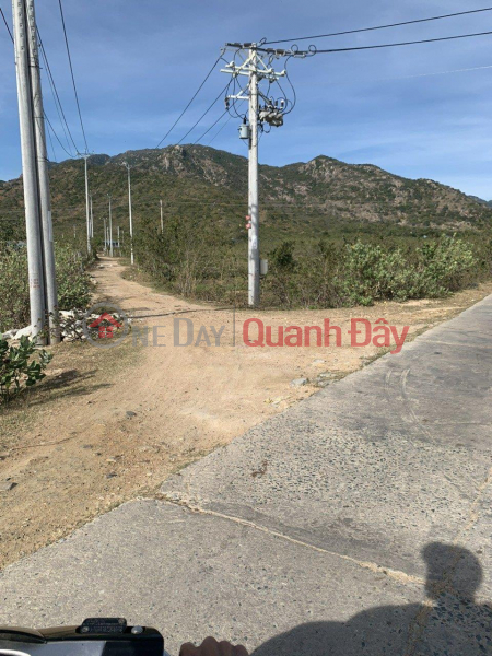 OWNER LAND - FOR SALE LOT OF LAND IN THUAN BAC NINH THUAN PROVINCE | Vietnam | Sales, đ 250 Million