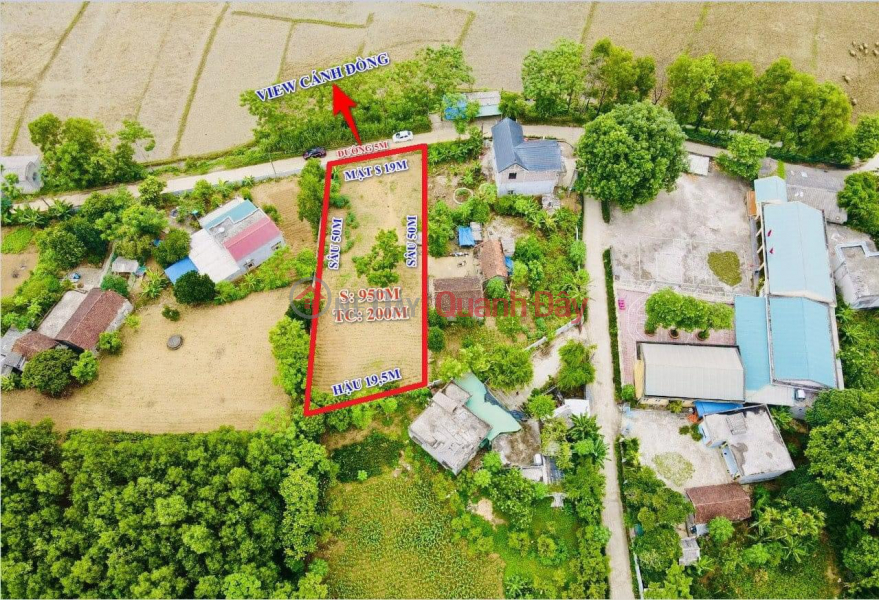 Property Search Vietnam | OneDay | | Niêm yết bán Bán lô đất 955m 200m ONT, Lương Sơn, Hòa Bình.