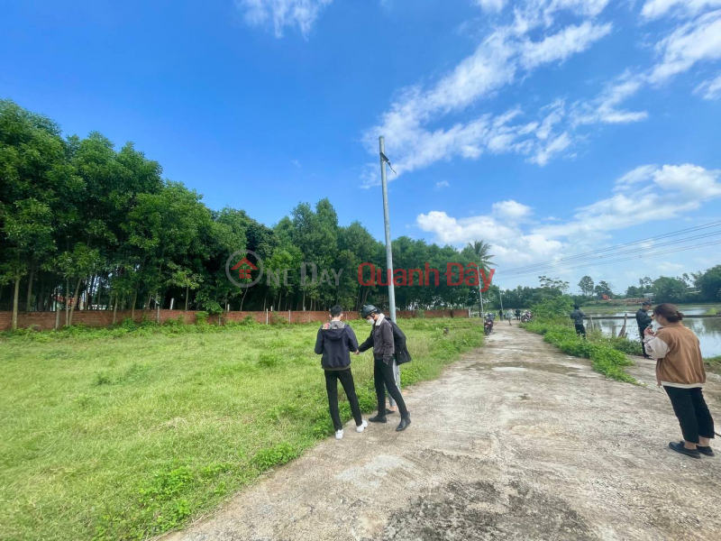 100m from National Highway, there is lot 12 across and can be divided into 2 beautiful square lots, support price is only 550 million Sales Listings