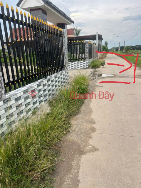BEAUTIFUL LAND - GOOD PRICE - URGENTLY SELLING A PLOT OF POTENTIAL LAND IN BINH Thanh COMMUNE, Duc Hue, Long An _0