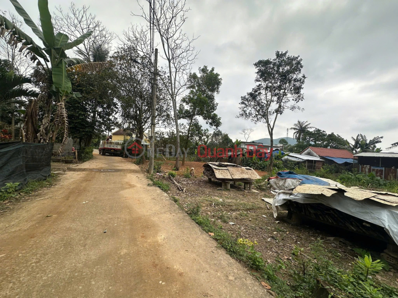 PRIME LAND - GREAT PRICE - Owner Needs to Sell Land in Xuan Phu (formerly Hoa Son),Hoa Khanh Ward, Da Nang City. | Vietnam | Sales, đ 1.7 Billion