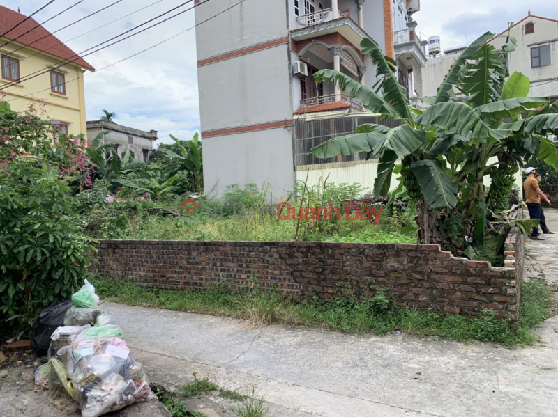 Property Search Vietnam | OneDay | Nhà ở Niêm yết bán, Cần tiền thanh khoản gấp 3 lô đất Lại Đà Đông Hội Đông Anh Hà Nội đường vào 4m ô tô vào đất ngõ thông