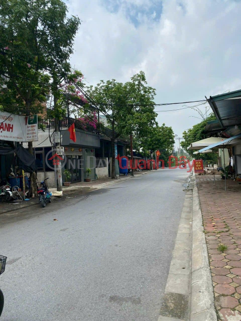 PIECE OF LAND FOR SALE BUSINESS LOCATION 200M MACH TRANG CO LOA DONG ANH _0