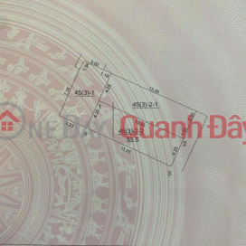 CHÍNH CHỦ CẦN BÁN 55.5 M2 ĐẤT NGÔ XUÂN QUẢNG - GIA LÂM, GIÁ 10.55 TỶ, LH 0985865658 _0