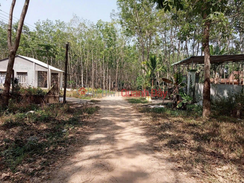 đ 550 Million LAND Owner - Good Price - Need to Sell Land Lot Quickly in Loc Hung Ward, Trang Bang Town, Tay Ninh