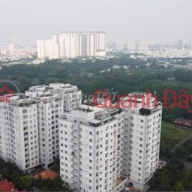 BEAUTIFUL APARTMENT - GOOD PRICE - Owner For Sale Apartment CC Him Lam Nam Saigon (Him Lam 6A) _0