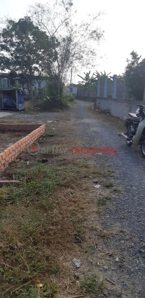 PRIMARY LAND - GOOD PRICE - Nice Location In Giong Ngang Hamlet, Hoa Khanh Dong Commune, Duc Hoa - Long An _0