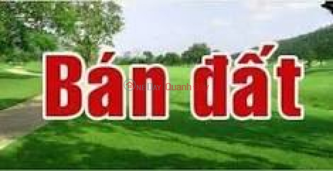 Bán 2 lô MT đường Nguyễn Tất Thành, cạnh khách sạn Công Đoàn, Hải Châu. DT10m x 25m. Niêm yết bán