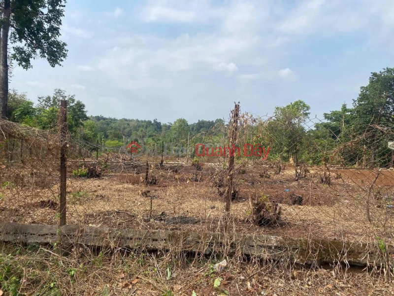 Property Search Vietnam | OneDay | Nhà ở, Niêm yết bán HOT HOT - CHÍNH CHỦ BÁN GẤP Lô Đất Xã Ea H\'Đinh, Huyện Cư M\'gar, Đắk Lắk.