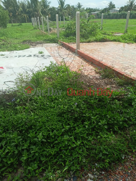 Property Search Vietnam | OneDay | Residential, Sales Listings BEAUTIFUL LAND - GOOD PRICE - Owner Needs to Sell Land Plot Quickly in An Co Commune, Chau Thanh District, Tay Ninh